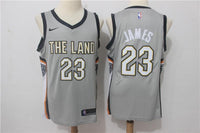 Men Cleveland Cavaliers 23 Lebron James Jersey Gray the Land Fanatics