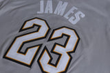Men 23 Lebron James the Land Jersey Gray Cleveland Cavaliers City Player
